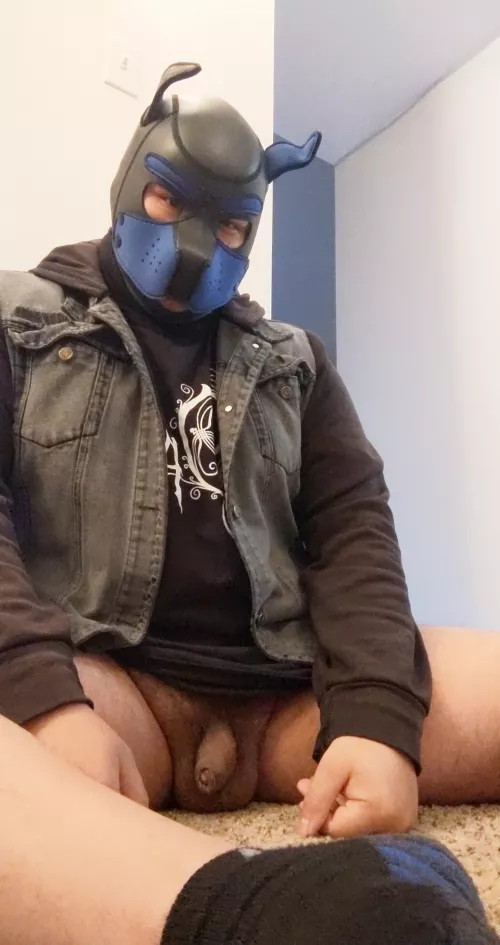 Went on some walkies 🙈 lost my pants on the way home 😅 by ghoststhatlikepie