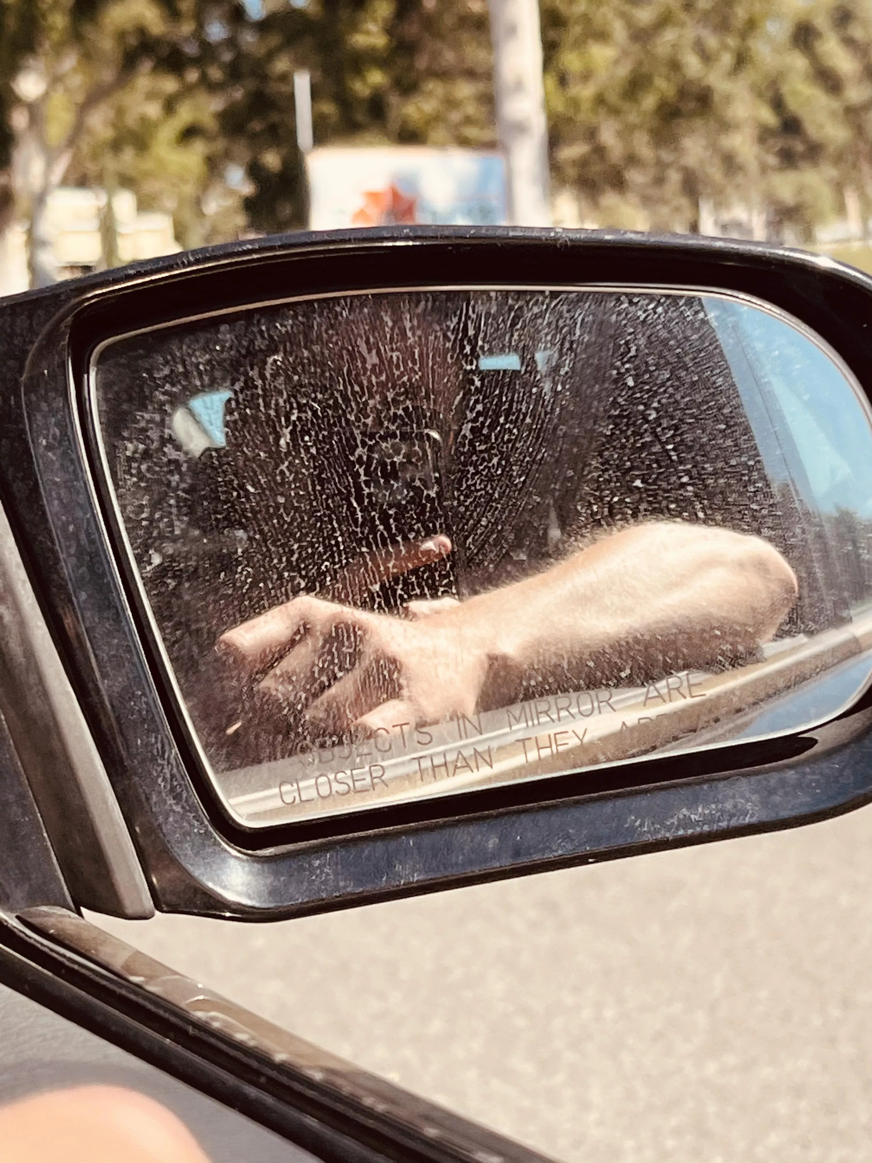 Went surfing posted by Maarlin