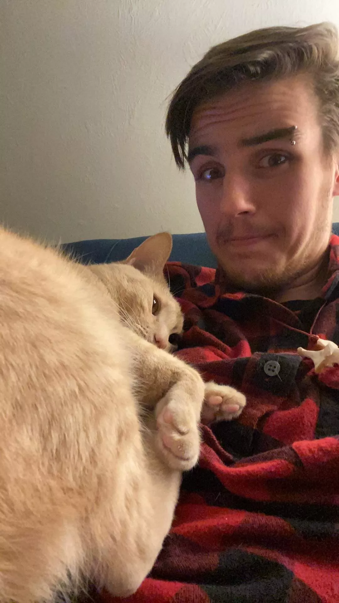 We’re cute 💜 posted by the_plague_of_frogs