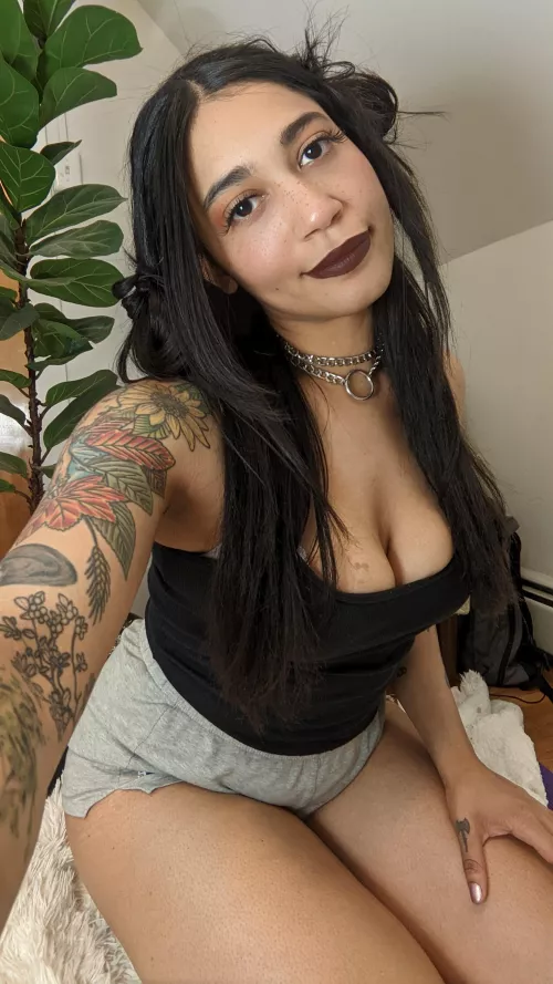 West African x German