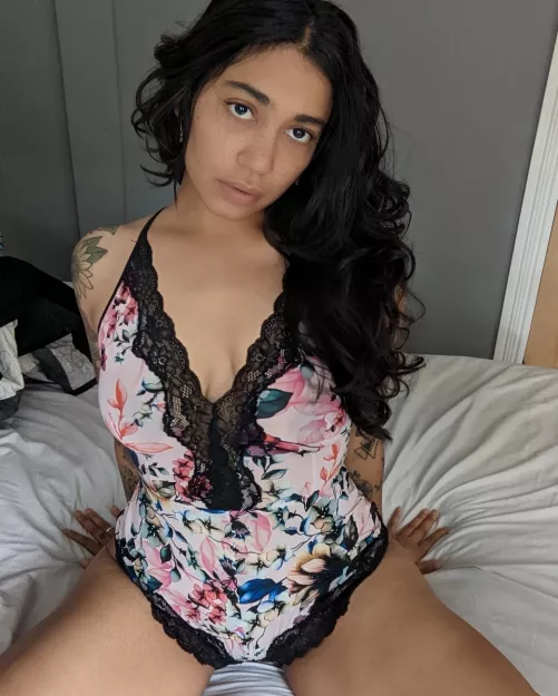 West African x German x English by TarooRooot