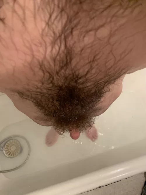 Wet fur by Top_Mathematician_74