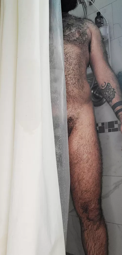 wet fur by loopsinlewps