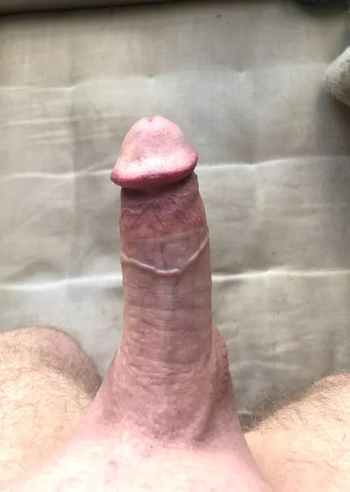 We’ve got a pointer. by Samryhart