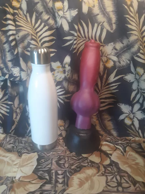 What a large boy, positively intimidating by whyonlytwenty