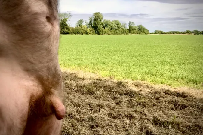 What a lovely day to be out and about by gogo1558