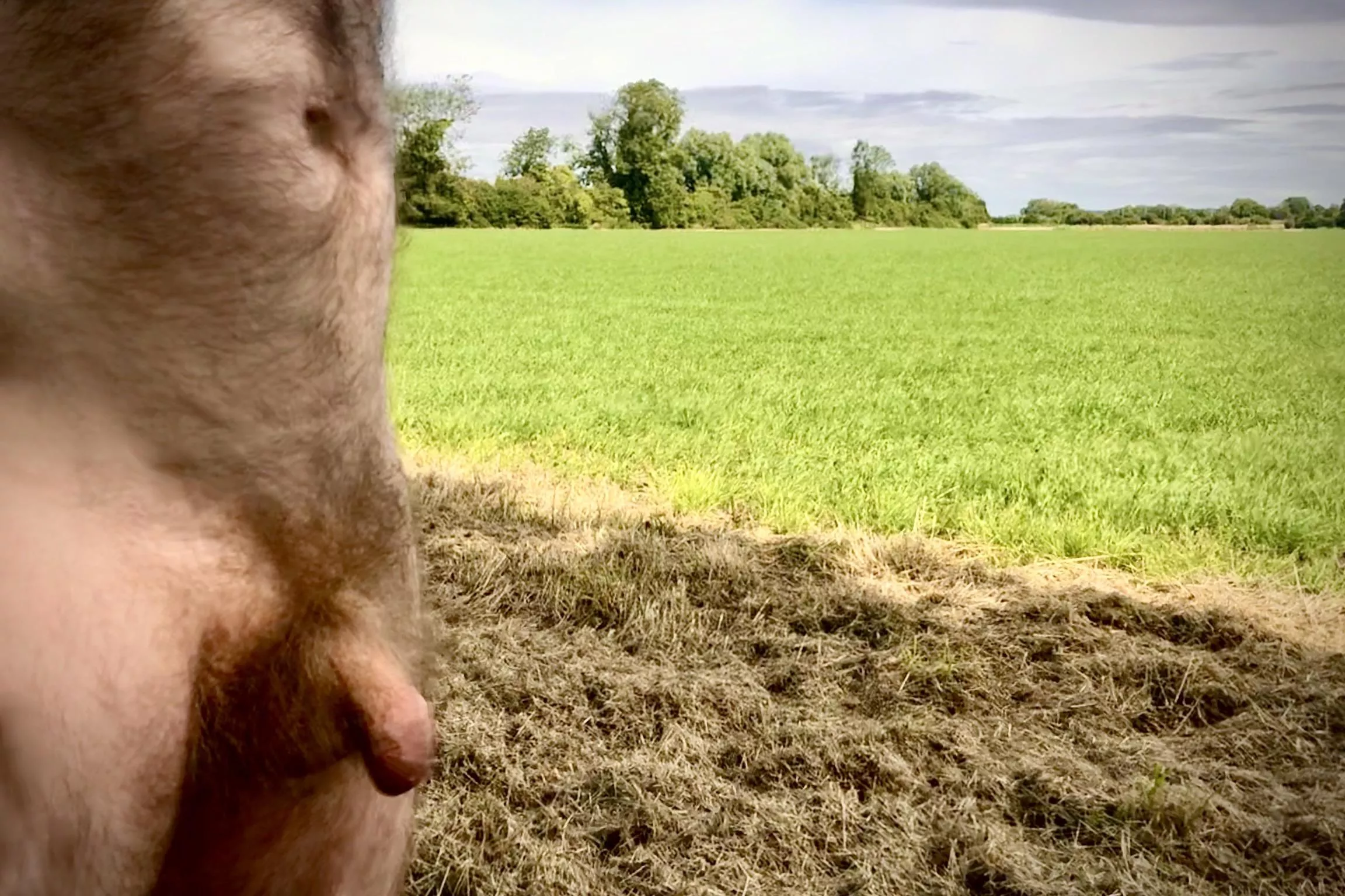 What a lovely day to be out and about posted by gogo1558