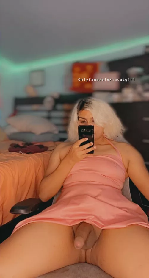 what a nice date you took me to, now get on your knees and suck my cock. by catboimaiduwu