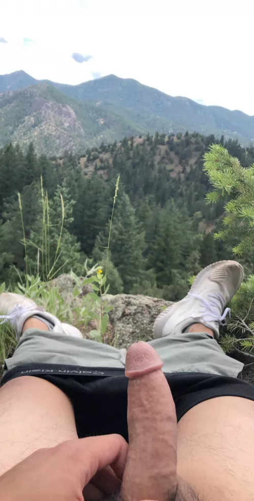 what a view by screamign