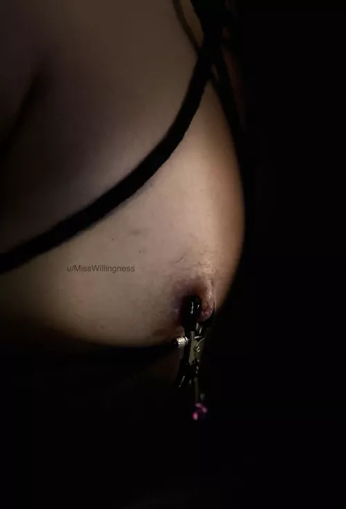 What about the other one, Daddy? by MissWillingness