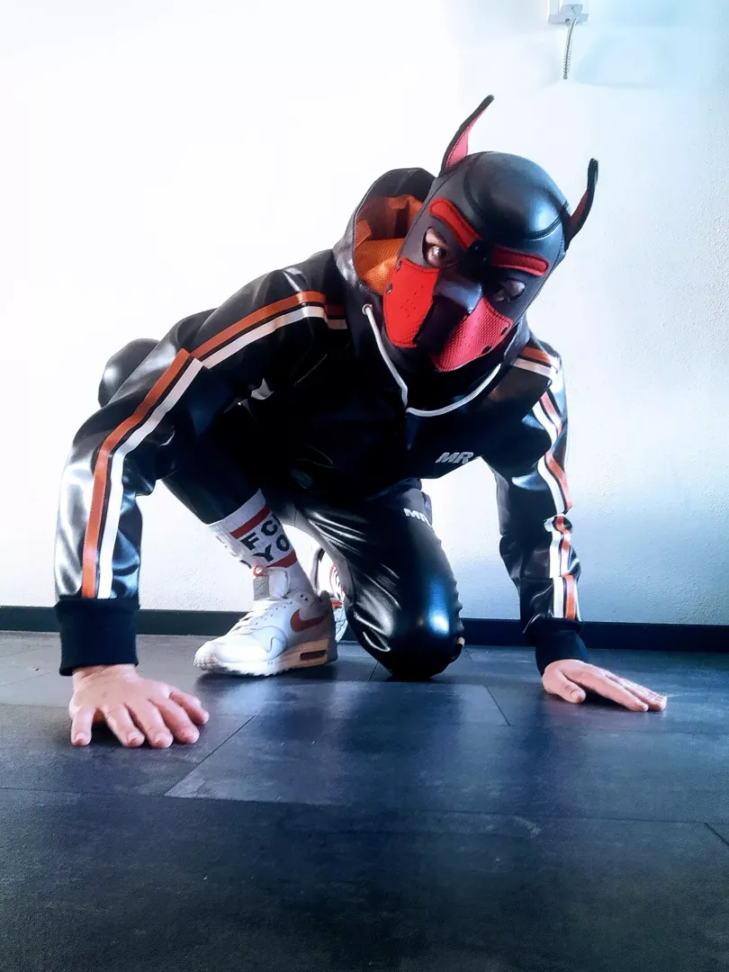 What are you doing down there? posted by Pup_Zeco