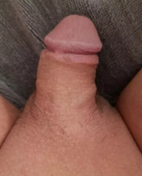 What are your thoughts? (22) by joe171813