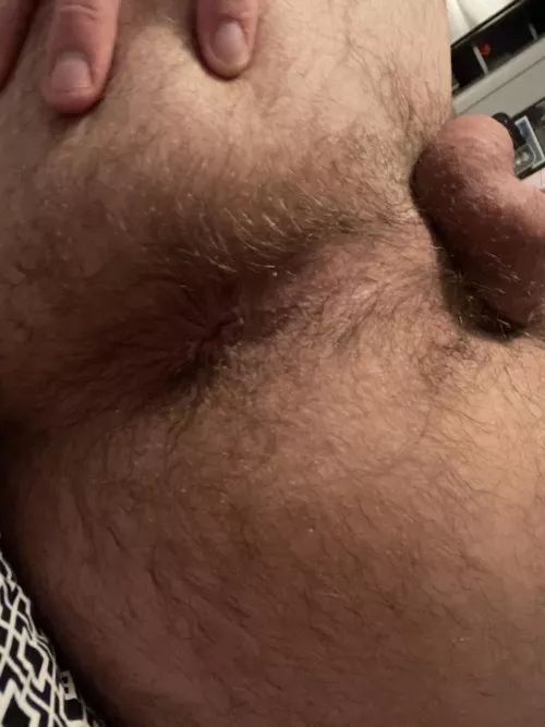 What bear wants to come make this theirs? by fhjyfjyrdbjydsthbf