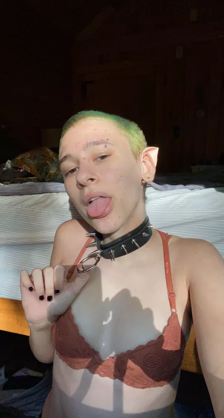 What color should I dye my hair next?🧡 by Punkfrog03