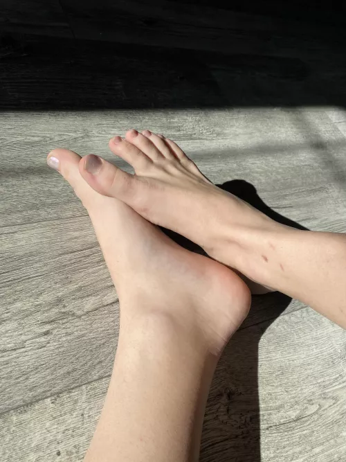 What color should I paint them next? by MasterFooter