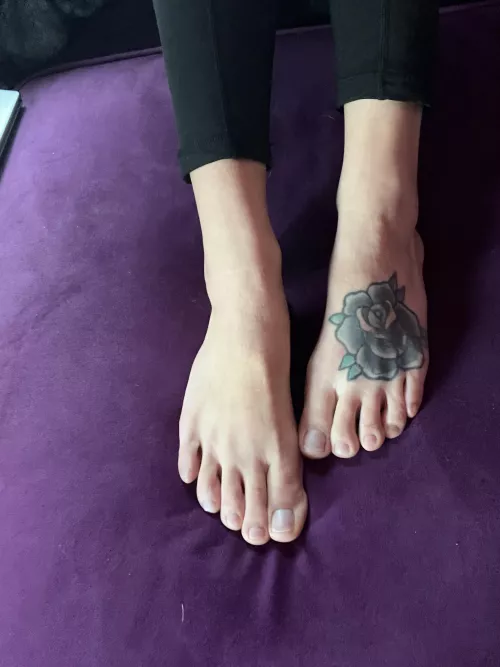 What color to paint these cuties? Hmm by rave-feet