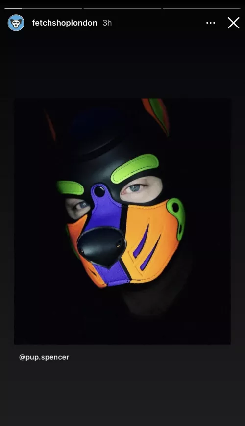 What colour are your eyes? Woof! by Pupspencer