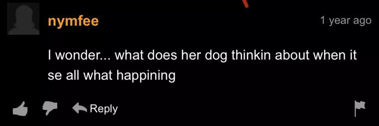 What da dog doin by AJSxBelleDelphine