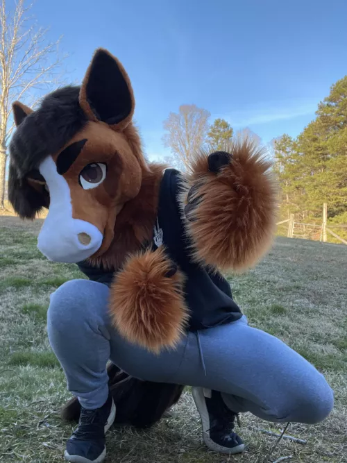 What da horse doin by Arrowjeager