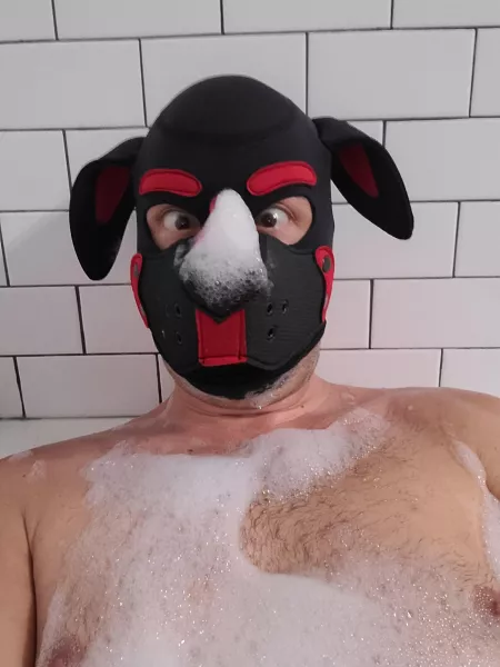 What Dis?! Bathtime Fun with Puppers! by PupTreble