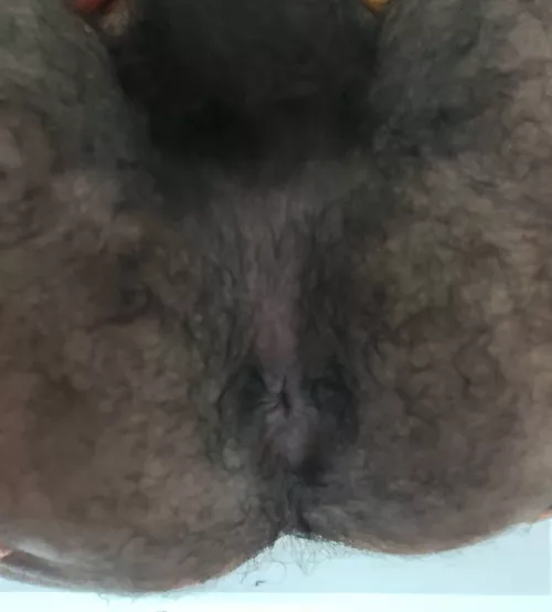 What do u think? by thespeedracer33