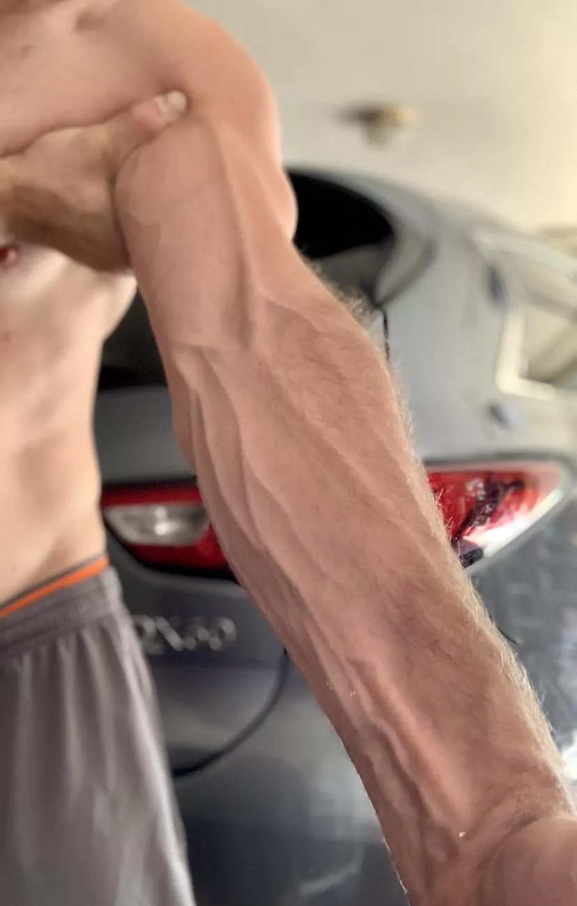 What do y’all think? posted by WorkinManBlues