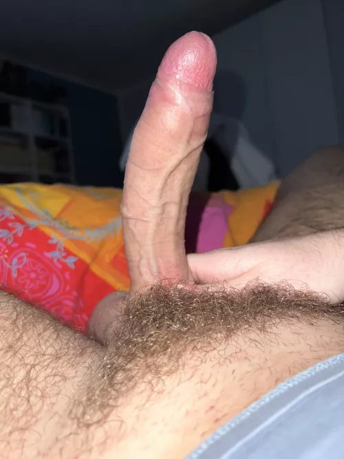 What do you Guys think of my german cock?😇 by BigGerman_