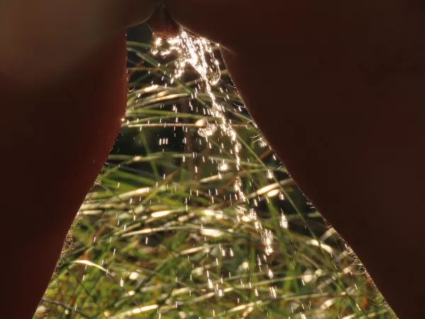 What do you prefer (2/2): The strong stream?