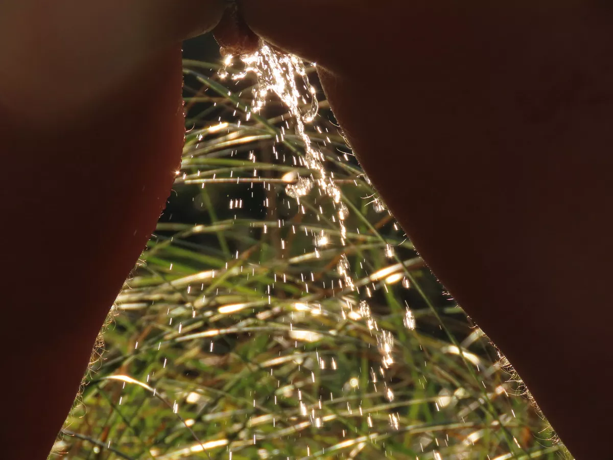 What do you prefer (2/2): The strong stream? posted by eirodite