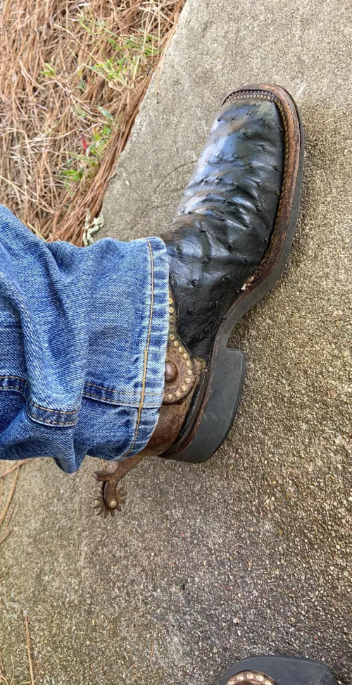 What do you ride in? by CowboyInU