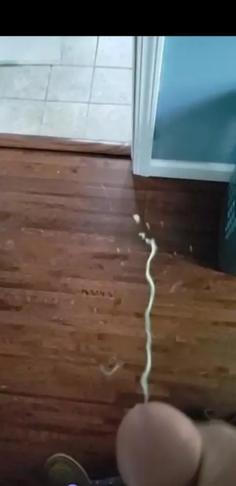 what do you think? posted by gymshorts007