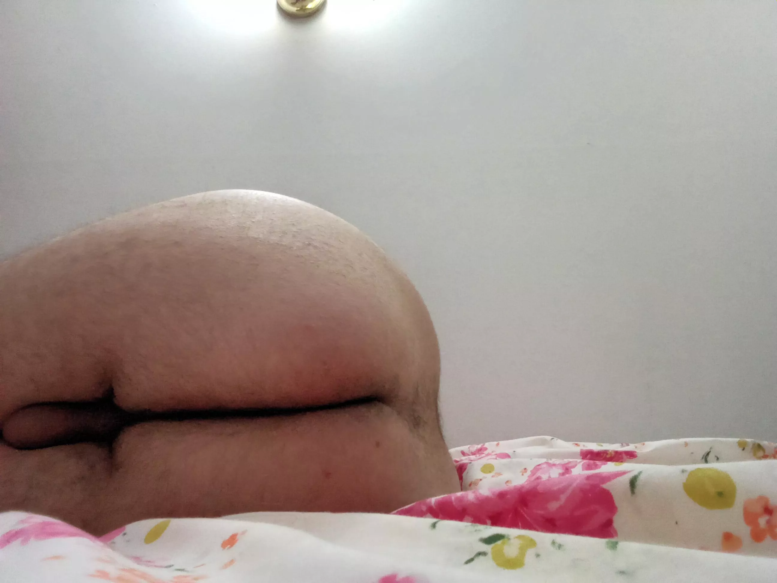 What do you think? posted by Imalwayshorny5