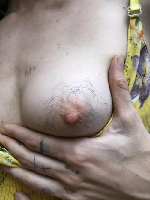 What do you think about my hairy nipples? by indieonline