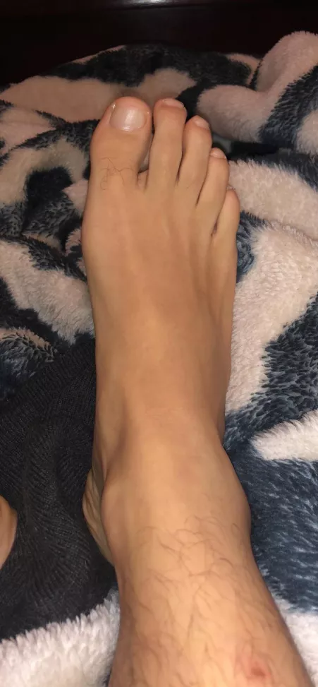 What do you think by SingleCatch5223