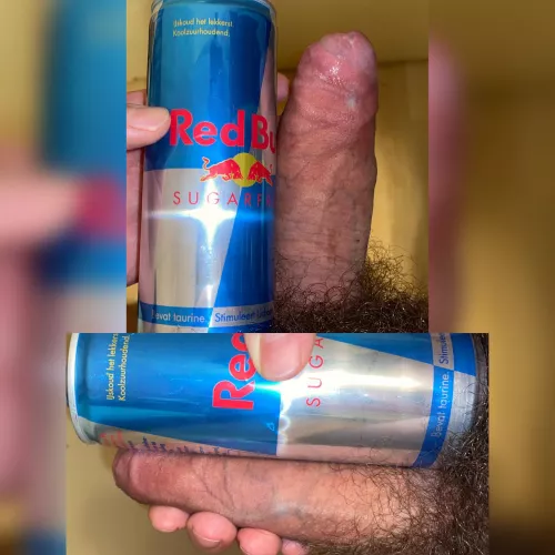 What do you think of my Bull? by kindertentgg