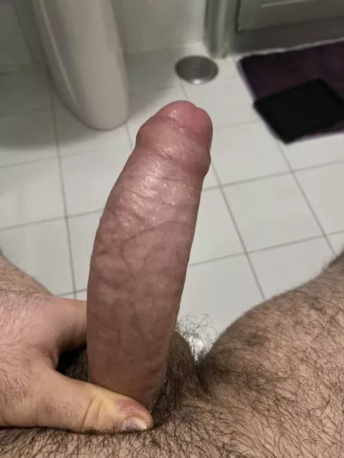 What do you think of my Italian member? by Troldem2