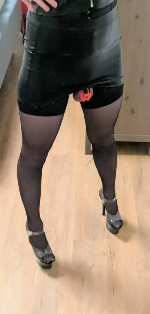 What do you think of my new cage? by Luna_C_D