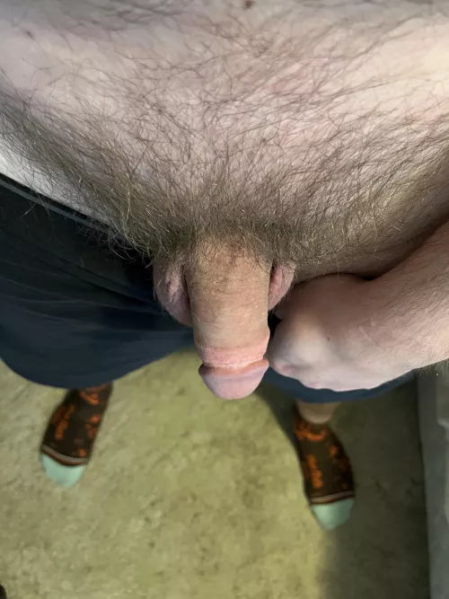 What do you think of my socks? by Novel-Magazine-4364