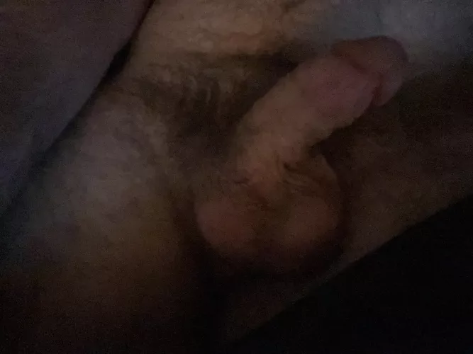 What do you think of my soft cock and pubes ;)? by just-a-hairy-guy99