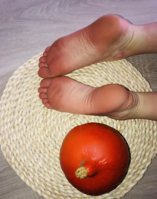 what do you want for dinner - me, feet or pumpkin? 🤤🥵 by elsemusve