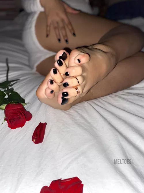 What do you wish for Valentine’s Day 🥺? by Meltoes1