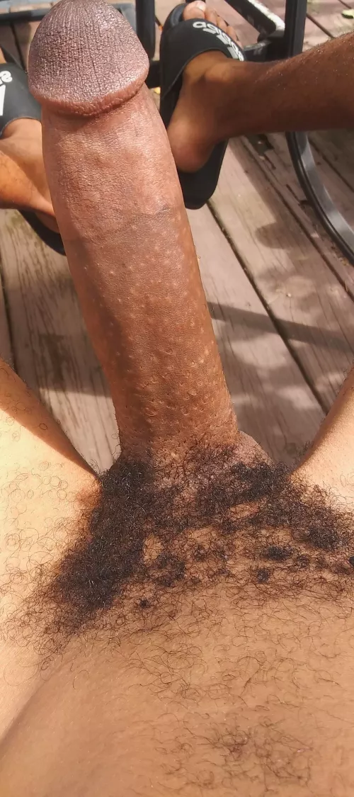 What do yuo think??? by haworthgraceful