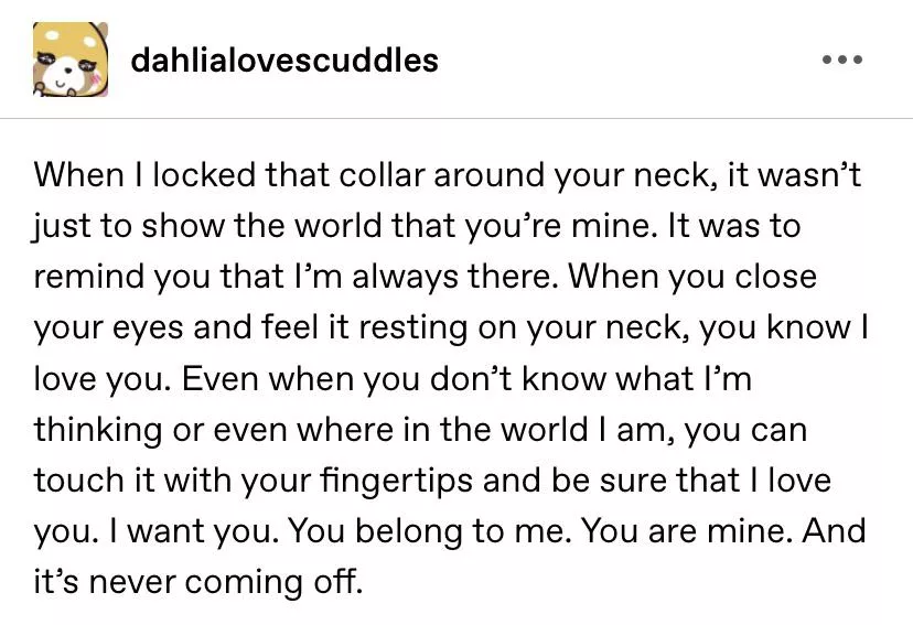 What does a collar mean? posted by dahlialoves