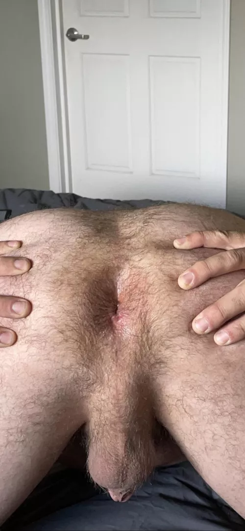 What does everyone think about hairy holes? by boxerjunky258