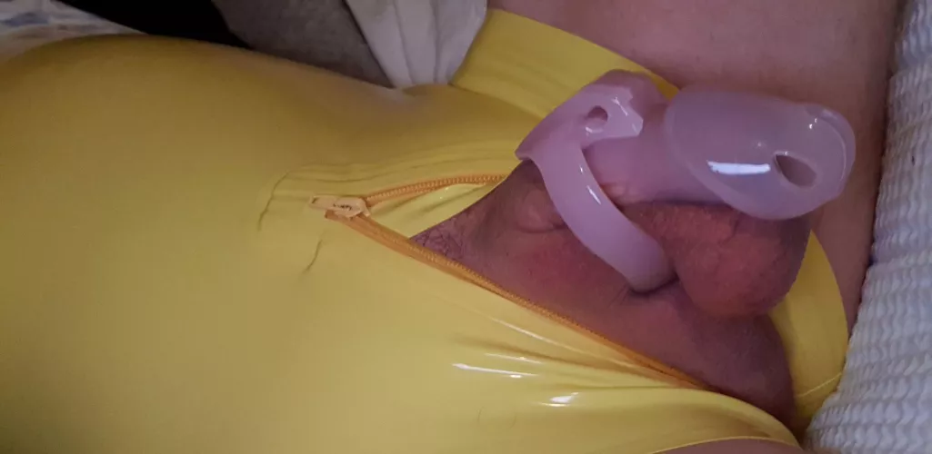 What else do I need? by Rubber_Cxm