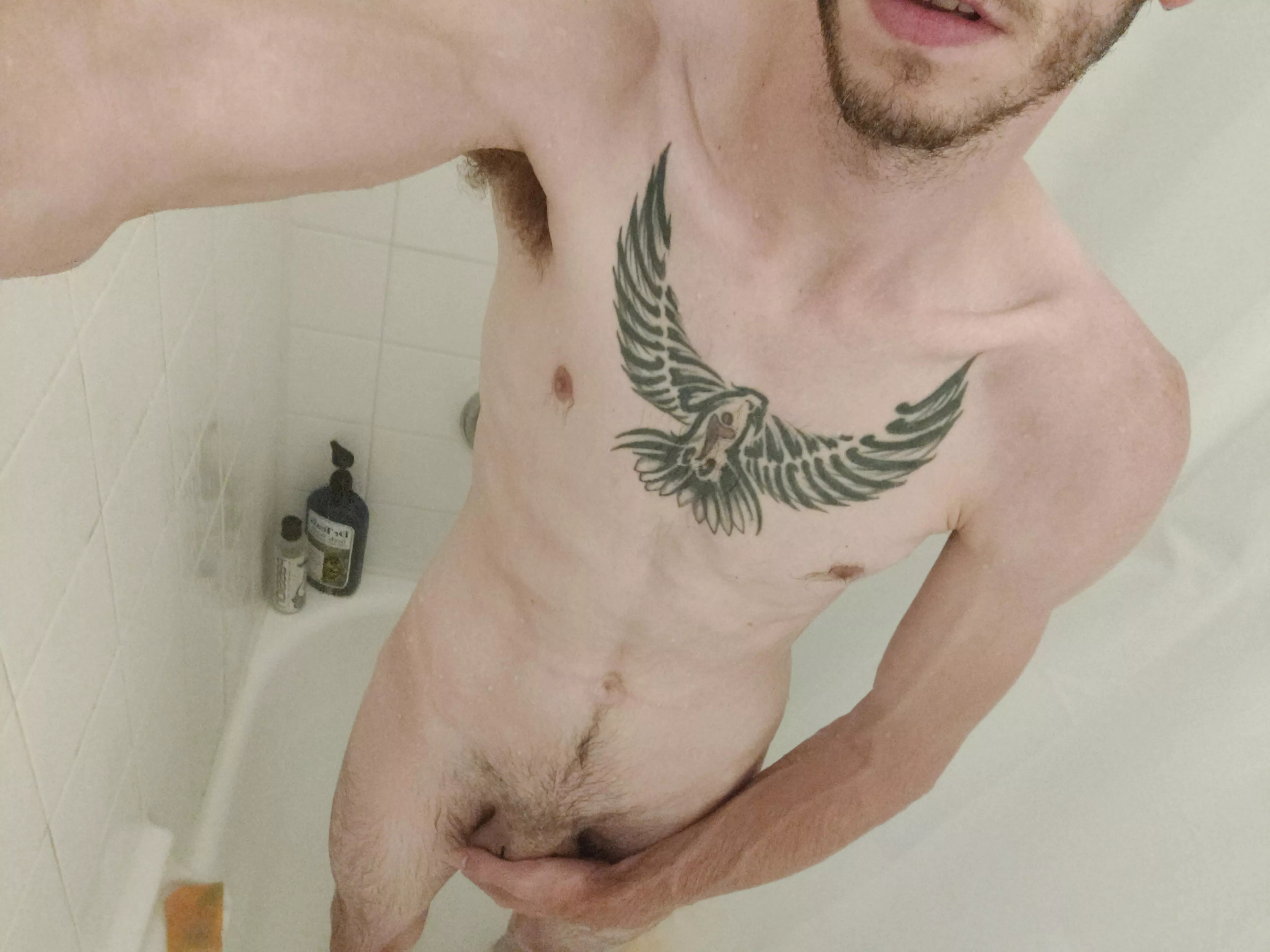 What else would you like to see? posted by y_o_liam