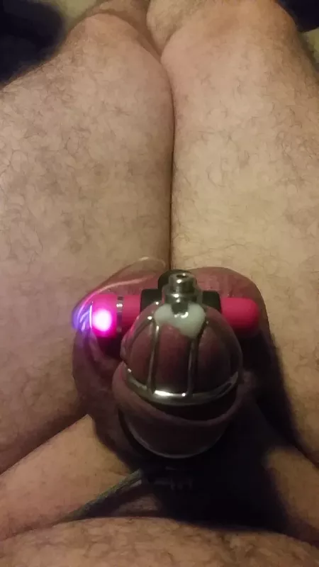 What ended up happening last night :) took a while but successful ruin in new cage by ak11600