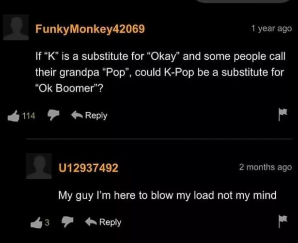 What has Pornhub comments even become ? by nester50
