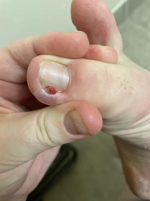 What in the heck is this by Citrus-And-Spice