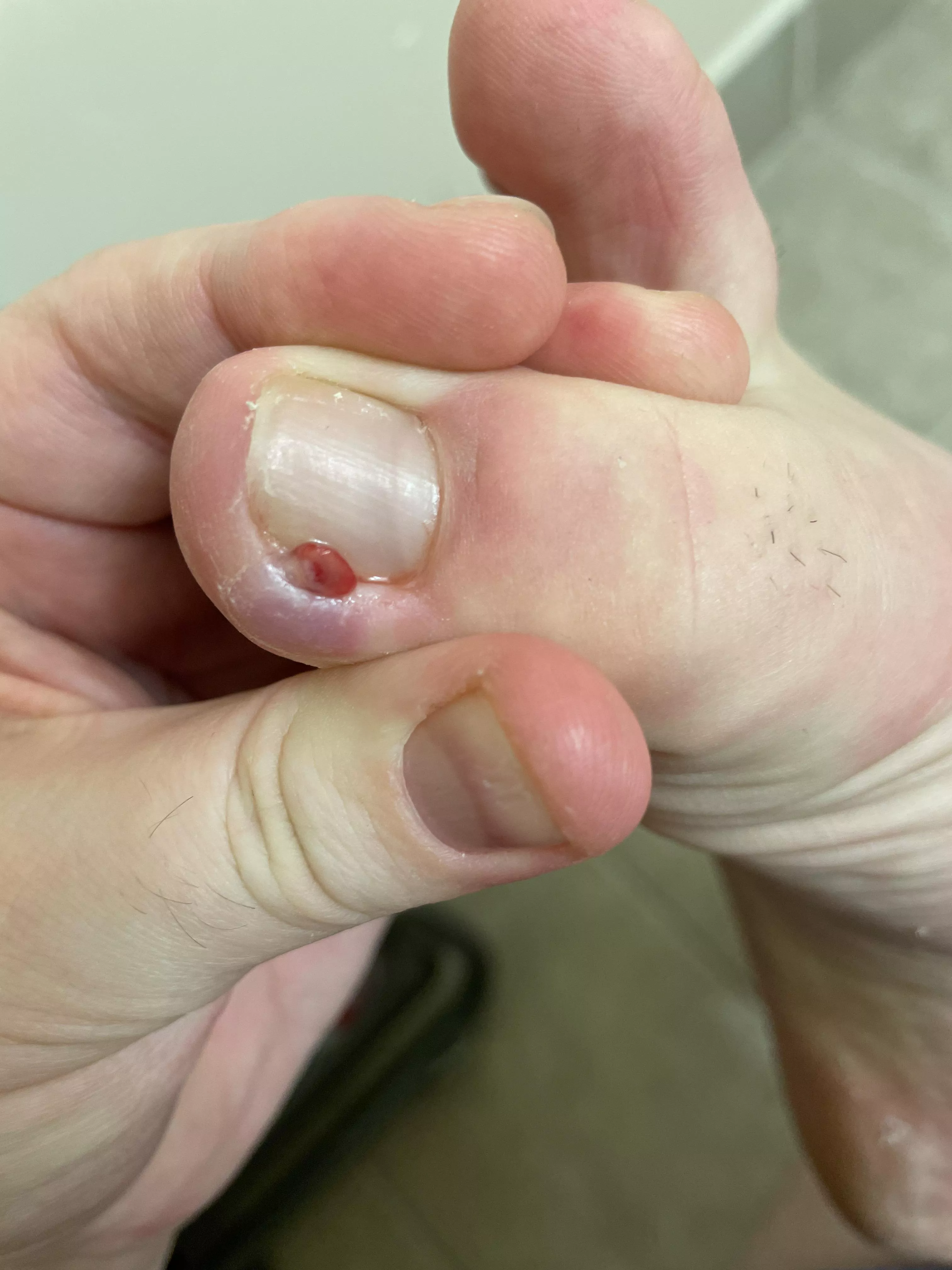 What in the heck is this posted by Citrus-And-Spice